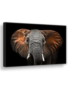 Tavla Canvas Silver 75x100 Red Elephant