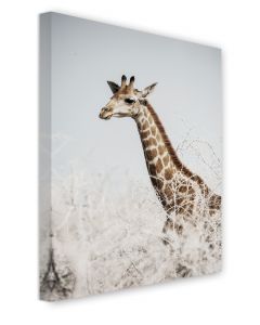 Tavla Canvas 50x70 Giraffe