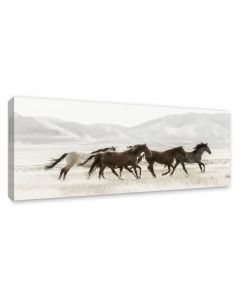 Tavla Canvas 60x150 Mustangs