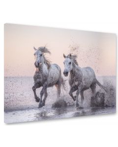 Tavla Canvas 75x100 Horses in dawn