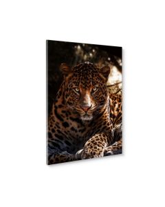 Tavla Canvas 50x70 Leopard