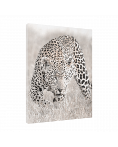 Tavla Canvas 30x40 Nature Leopard