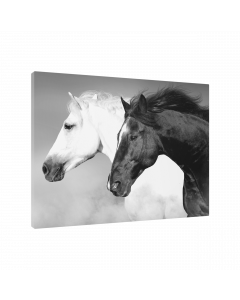 Tavla Canvas 75x100 Horse Black & White