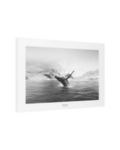 Tavla Canvas 50x70 Whale