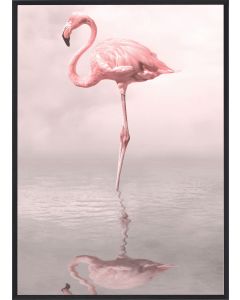 Poster 30x40 Pink Flamingo 1 (planpackad)