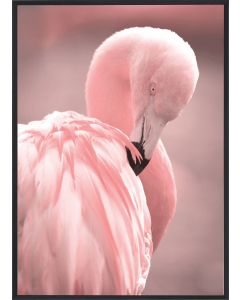 Poster 30x40 Pink Flamingo 3 (planpackad)