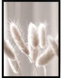 Poster 30x40 Nature Dry Grass